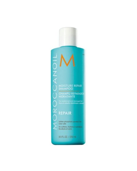 Shampoo Riparatore Idratante